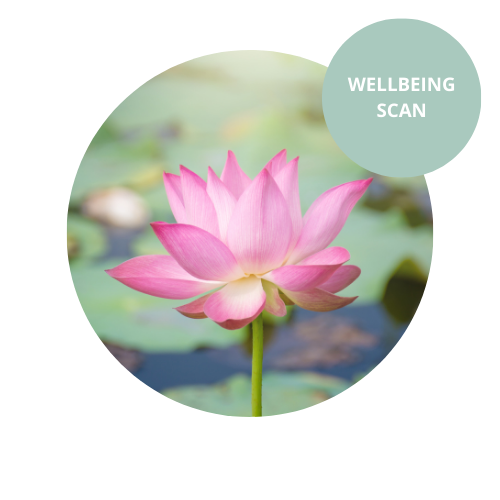 wellbeing scan